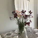 בית נופש Anastasia's House *